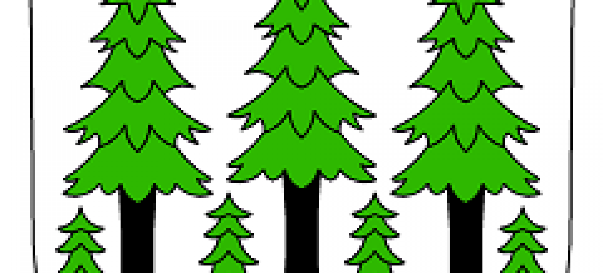 Die Gemeinde Oberwald