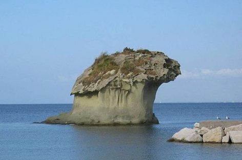 Saures Wasser löst Meerestiere auf