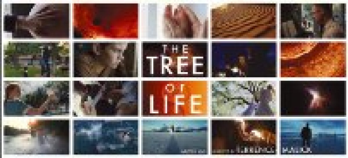 Kino: „The Tree of Life“ von Terrence Malick preisgekrönt