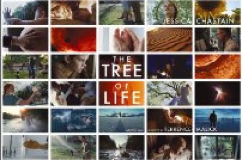 Kino: „The Tree of Life“ von Terrence Malick preisgekrönt