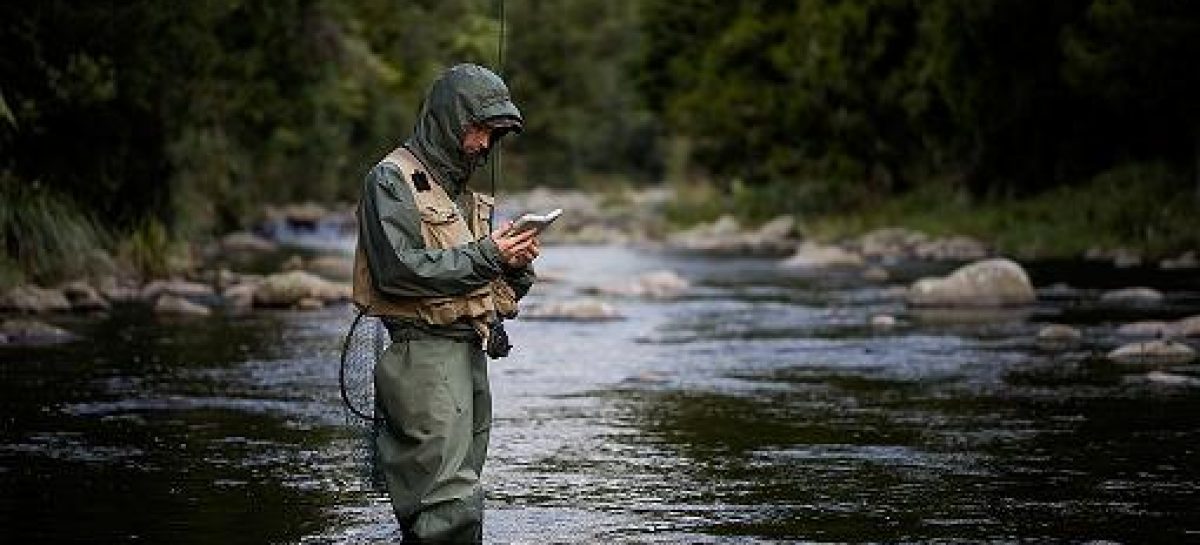 So wird man nicht beklaut – Phishing-Attacken