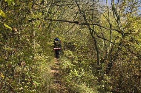 Tipps zum Wandern